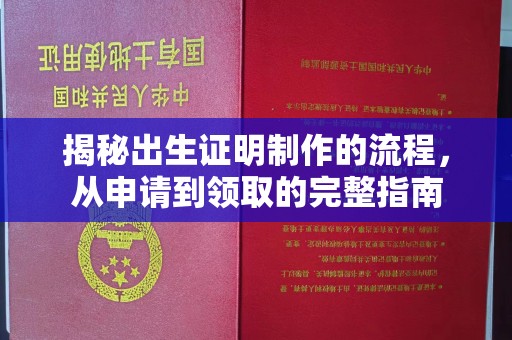 新店揭秘出生证明制作的流程，从申请到领取的完整指南